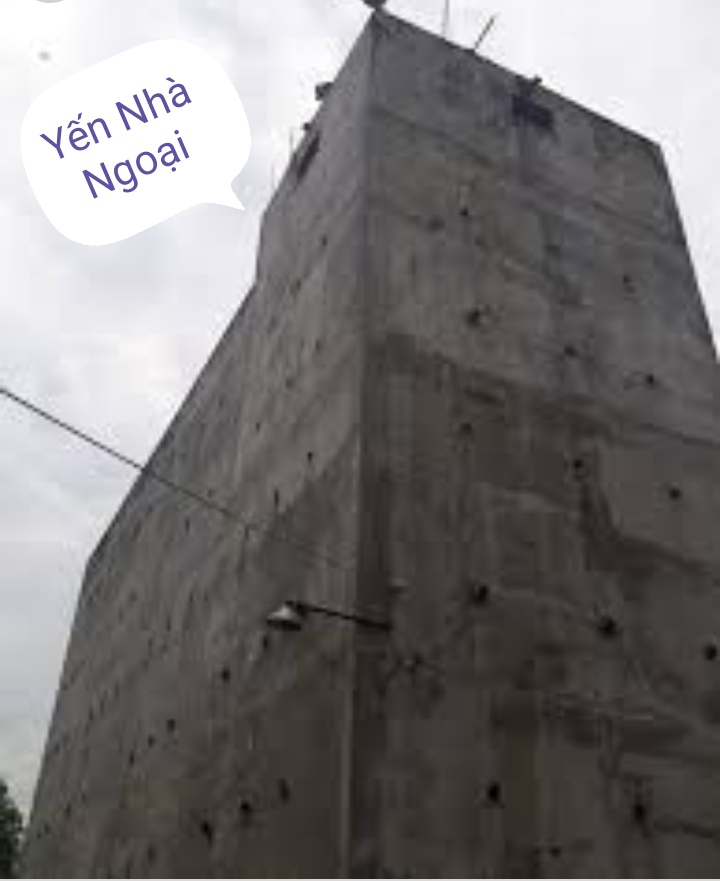 nhà yến